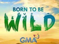 Born To Be Wild June 16 2024